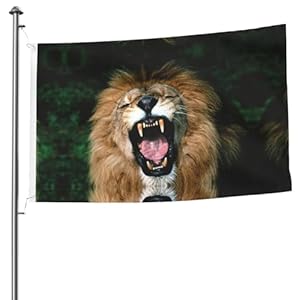 Xlewsieu Black-48 Löwen-Flagge 15,7x2,4m