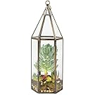 Deco Glass Geometric DIY Terrarium for Succulent & Air Plant - Hanging Tall Hexagon Shape for Indoor Gardening Decor- Create Your own Flower, Fern, Moss Centerpiece- Amazing Holiday and Wedding Gift