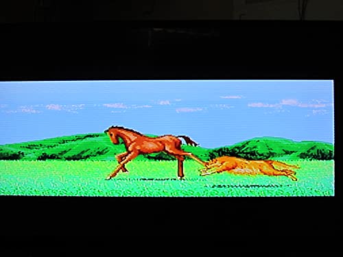 ウイニングポスト2の関連画像3