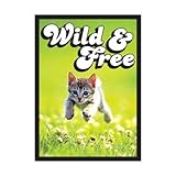 Kittens Deck Box (Legion Supplies)