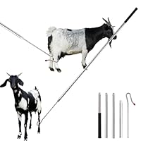 Goat Sheep Catcher Leg Hook, 304 Stainless Steel Sheep Hook Goat Catcher, Length Can Be Adjusted Freely 44\"48\"59\"63\"75\" Catching Tools, Grab Them Simply and Quickly (Head Rubber Design)