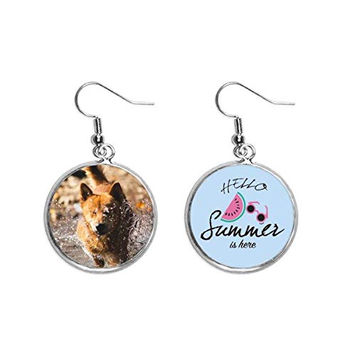 Pendientes de sandía ligeros de perro japonés hechos de resina