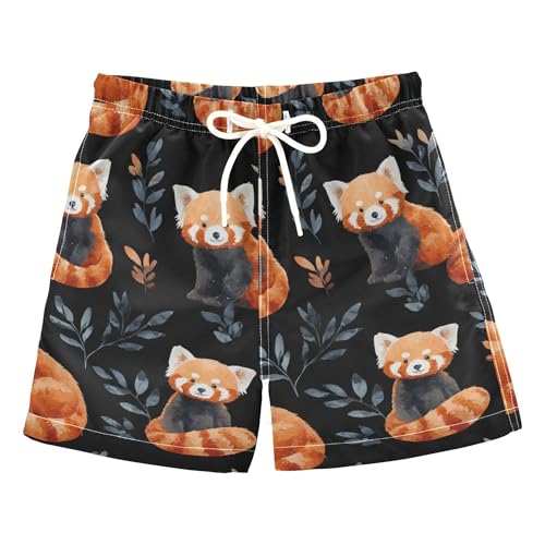 Mazeann Cute Red Pandas Black Boys Board Shorts Swim Trunks Shorts Bathing Suits Swimwears, M