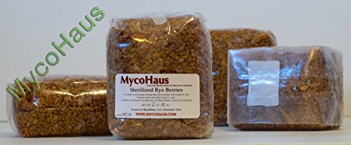 12 lbs ( 6 pack ) sterilized rye grain berries