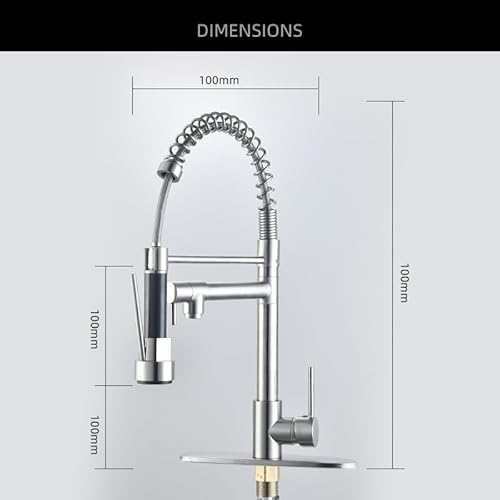 WAWJN Spülbeckenarmatur Stainless Steel Küchenarmatur mit Zug-Sprühkopf & Doppeldüse Federelastisch für Wohnmobil Bauernhof & Camping: Spritz- & Strahlöse für Küchenspüle(Gebürstet)