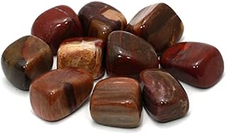 CrystalAge Fossil Wood Tumble Stone (20-25mm)