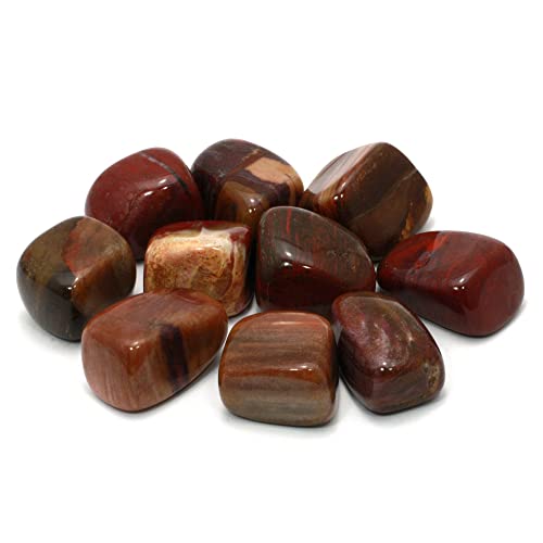 CrystalAge Fossile Wood Pietra (20-25mm)