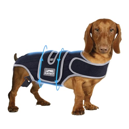 Furtent Dog Back Brace for IVDD, Joint Discomfort, Small Support Harness for Dachshund Recovery, Spinal Relief & Back Stability (S)