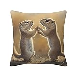 Funda de almohada cuadrada de felpa con estampado de marmota traviesa de 66 x 66 cm, dormitorio o interior de coche