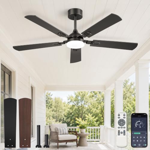 Image of Fanbulous 52 Inch Modern Ceiling Fans with Lights
