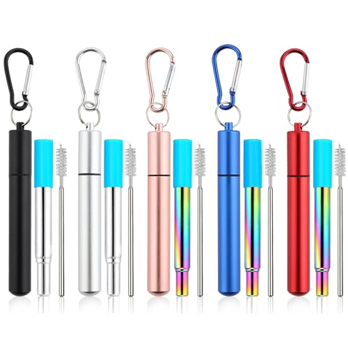 5-Pack Collapsible Metal Drinking Straws with Case