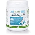 AniForte Colla Move Dog 250g - 100% Pure & Natural, Natural Collagen, Joint Support Supplement & Agility Power, High Quality & Effective, Natural Solution for Dogs
