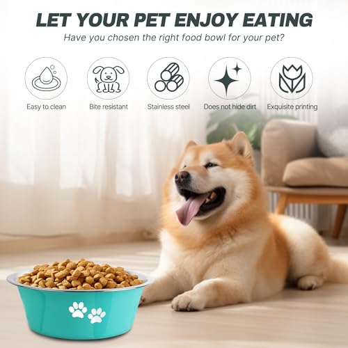 Stainless Steel Dog Bowls, Nonslip Rubber Bottom No Spill Proof Skid Metal Insulated Dog Bowls for Large Medium Small Breed Dogs (Green, 8.5 Cups/71 OZ) Stainless Steel Dog Bowls, Nonslip Rubber Bottom No Spill Proof Skid Metal Insulated Dog Bowls for Large Medium Small Breed Dogs (Green, 8.5 Cups/71 OZ)