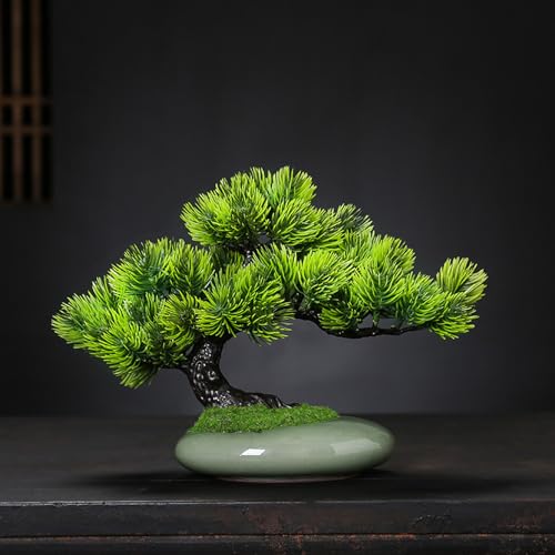 HWQFM tFCNO[  FreeSize  lHA fUC2 ϗtA ~ A CeA lHϗtA  ItBX fXN b炸 sv    vX`bN ϗt Mtg Bep  j