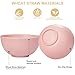 Rubtlamp 16Pcs Plastic Wheat Straw Dinnerware Set, Reusable Plastic Plate Set for 4, Kitchen Plates And Bowls Set (Pink) Include Dinner Platos, Dessert Platos, Cereal Bowls, Cups for Daily, Camping