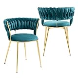 NIOIIKIT Modern Velvet Dining Chairs Set of 2 Hand Weaving Accent Chairs Living Room Chairs...