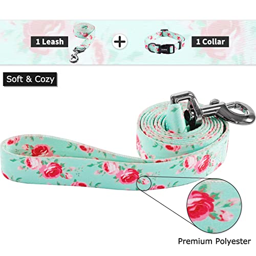 Ihoming Dog Collar And Leash Set For Daily Outdoor Walking Running Training, Floral Spring Design For Small Boys Girls Dogs Cats Pets, S-Up To 20Lbs #TOP2