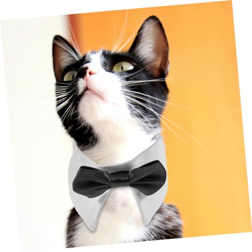 Collier pour chien nœud papillon confortable accessoire mignon