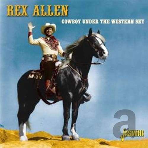 Cowboy Under The Western Sky