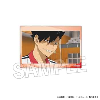 Amazon.co.jp: ハイキュー！！ スタパネ ミニ vol.5 20 : おもちゃ