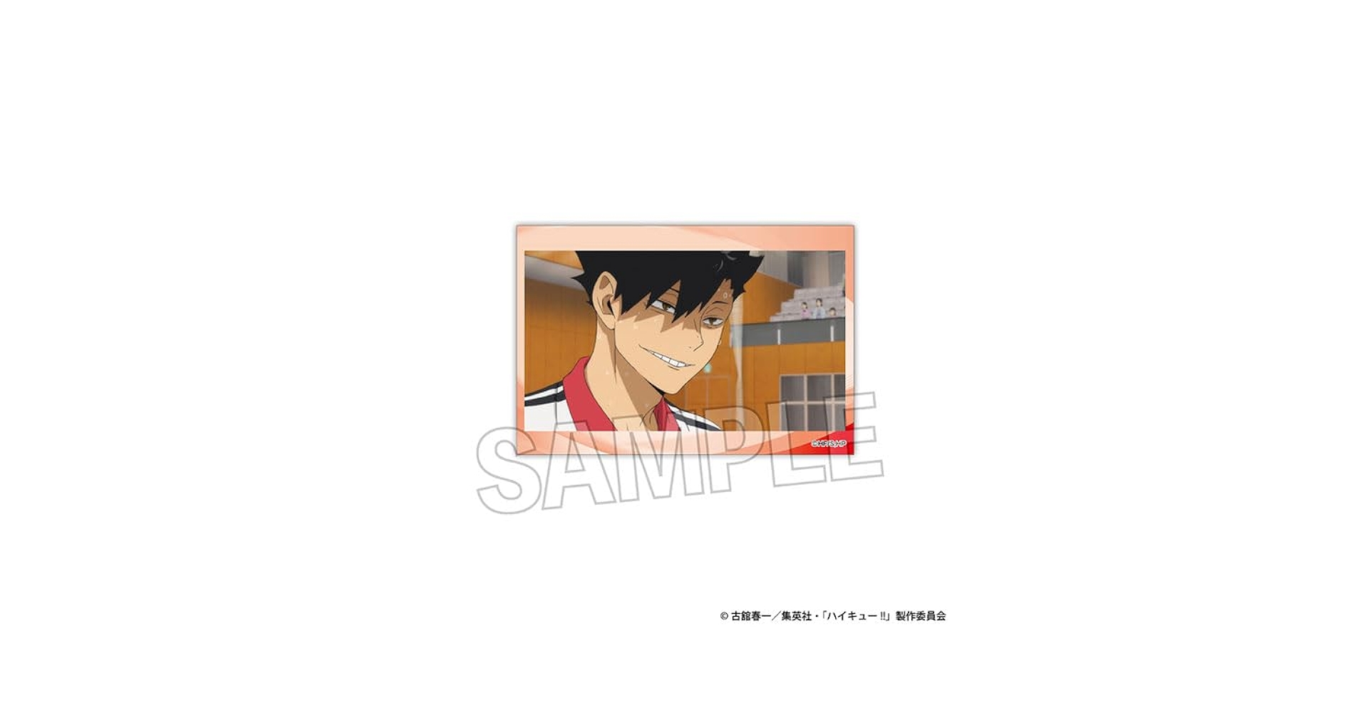 Amazon.co.jp: ハイキュー！！ スタパネ ミニ vol.5 20 : おもちゃ