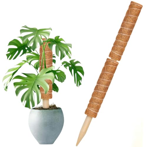 Tutor de Plantas de Fibra de Coco Fixo - Top Garden (120cm)