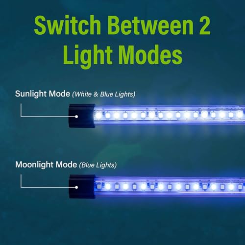 Image of GloFish 6-Inch LED Light Stick for Fish Aquariums Up to 5 Gallons, 1 Count, with White and Blue LED Lights
