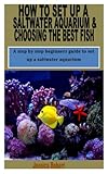  HOW TO SET UP A SALTWATER AQUARIUM & CHOOSING THE BEST FISH: A step by step beginners guide to set up a saltwater aquarium
