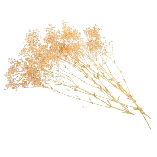 Ramo de flores secas blanco Luxshiny para decoración