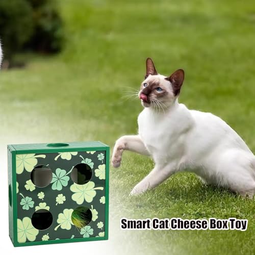 Jouet interactif pour chat boîte à fromage rotative anti-stress
