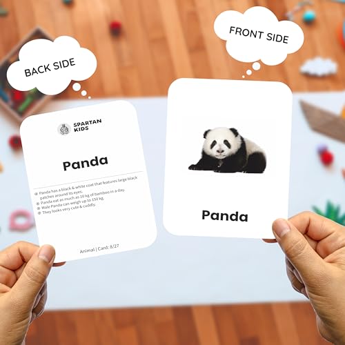 Image of SPARTAN KIDS Animal Flash Cards for Kids | 27 Early Learning Flash Cards for Cognitive Skills | Toys for 2+ Year Old Girl and boy | Gift for Kids 3 Years