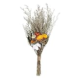 Cada flor seca es una flor natural que se ha secado y deshidratado, lo que le permite sentir el verdadero abrazo de la naturaleza.