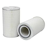 Fleetguard AF25065 Air Filter