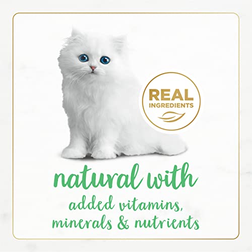 Image of Purina Fancy Feast Grain Free Pate Wet Kitten Food Gourmet Naturals White Meat Chicken Recipe - (Pack of 12) 3 oz. Cans