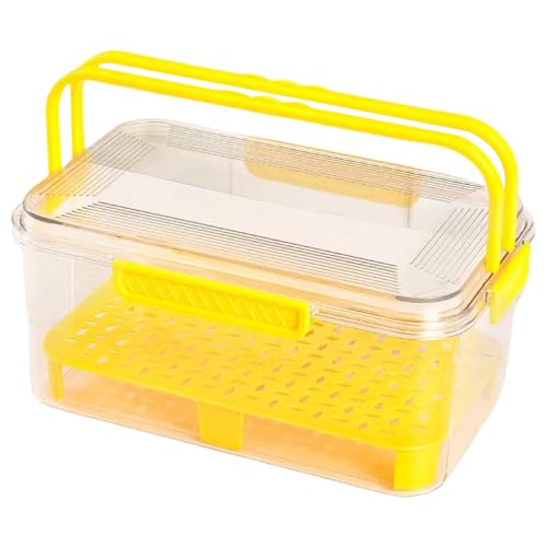 Contenedor De Almacenamiento De Alimentos Con Tapa - Porción Control Almacenamiento De Alimentos | Contenedor De Almacenamiento De Alimentos Al Aire Libre | Daily US Kitchen Serving Case, Organizador