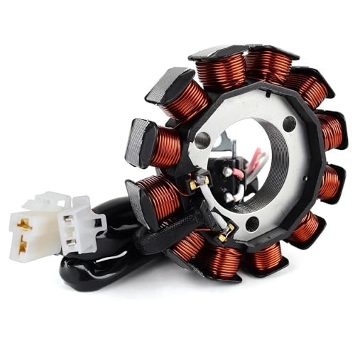 Stator de bobine CZD 250 améliore la charge de batterie Tricity 300