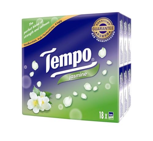 144個組み合わせ テンポ Tempo ポケットティッシュ ち*こ様 144個