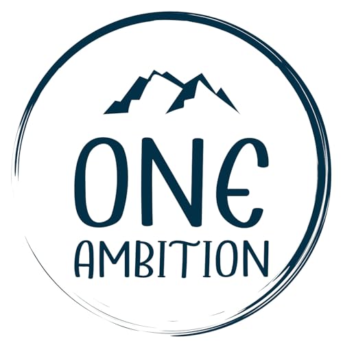 One Ambition cover art