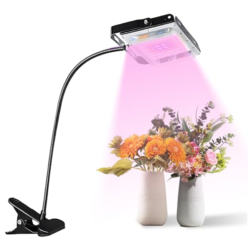 ++ Gärtner Lampe Test Gartenbau für Jederman ganz einfach April 2024