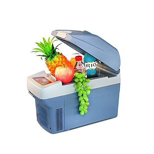 Mobiler Auto-Kühlschrank-Mini-Kühler Und Wärmere Digitalanzeige-Temperaturregelung Für Reisen Im Freien, Fischen