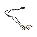 Browning Buckmark Ornament | Bronze Hunting & Shooting Equipment, Bronze, Single