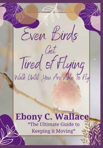 Even Birds Get Tired of Flying: Walk Until You…