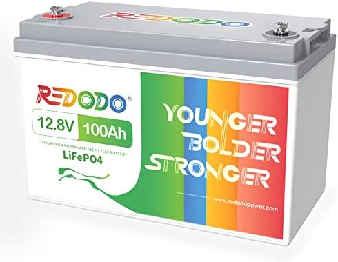 Redodo 12V 100Ah LiFePO4 Lithium Battery, Built-in 100A BMS, Max. 1280W Load Power, Up to 15000 Cycles & 10-Year Lifetime, Perfect for Solar Energy Storage,Backup Power,Off-Grid,RV,Camping