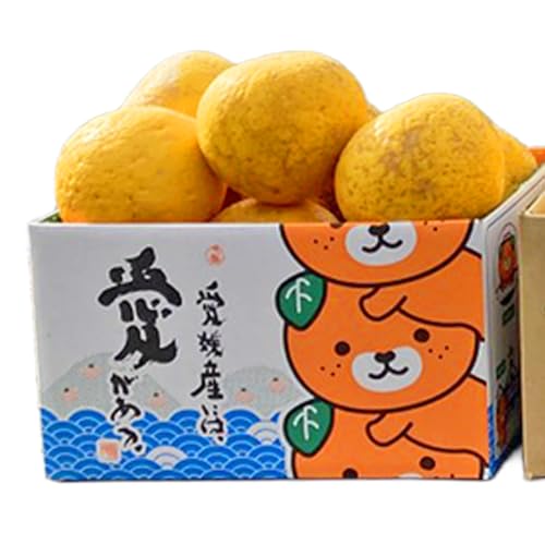 愛媛県産 河内晩柑 M〜2L 柑橘 みかん 選べる フルーツ ジューシー 愛媛県 西予市 (約2.5kg)