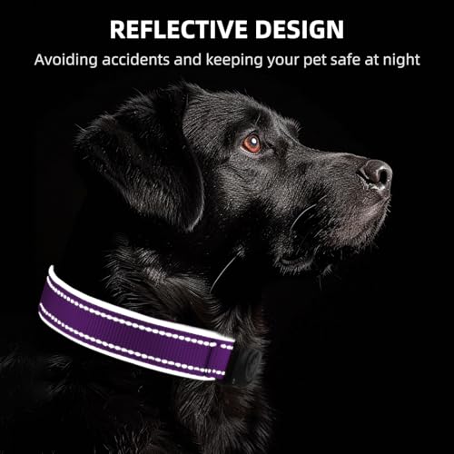 Image of Upgrade Dog Collar with AirTag Holder, IP68 Waterproof, Grape Purple, S
