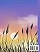 Notebook: Sunset Print Composition Notebook - College Ruled: 120 Pages - Large 8.5 x 11