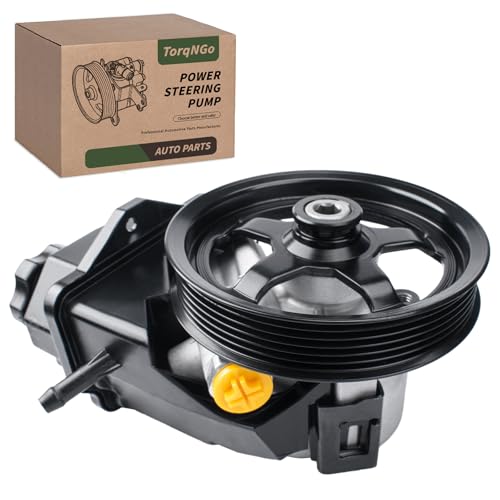 TorqNGo 20-69989 Power Steering Pump Assembly with Reservoir & Pulley