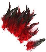 50 Federn, Naturfedern, Karneval, Halloween, Kostüm, rot, Basteln, Malen und Basteln, Kunst und Handwerk