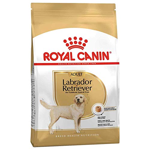 ROYAL CANIN Aliment pour chien Labrador Adult Royal Canin