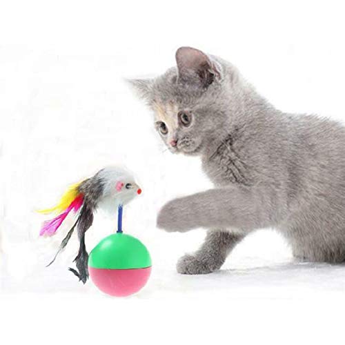 ROYALE CAT Interactive Cat Toy False Mouse Mice Mouse Tumbler Balls Pet Kitten Toy (Pack of 2) (B08Y8JB8SK) Amazon Price History, Amazon Price Tracker